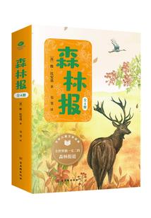 海贼世界的稳健法师