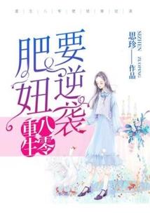 神奇宝贝之阿浩之路