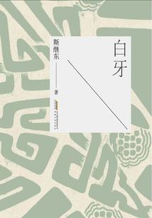 银兔奇缘