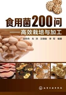 混沌纪元的圣魔导师