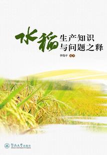 超级仙师