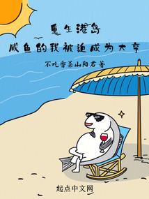 宠物小精灵之缤纷世界