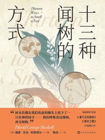 神魄猎魂天圣