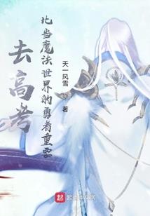武气之极