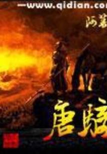 本猫科技