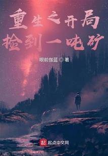 武嘉情