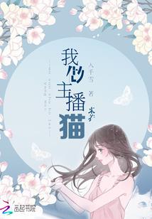 创世神的视角