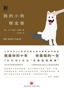 无限脑能