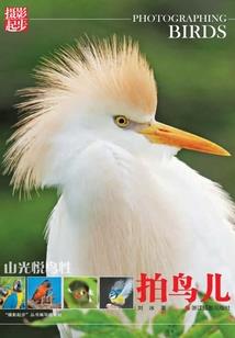 夏末心动