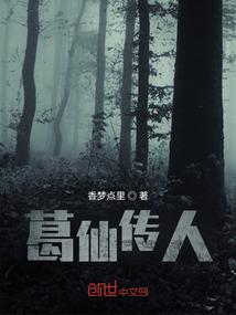 逸光年