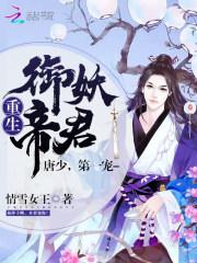 星空之皇