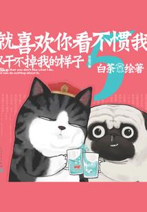 咱干天使的日子