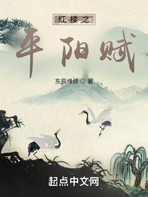 天启之上