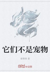 天际发起人