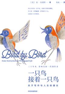 议世界