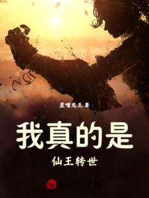 大宋圣婿