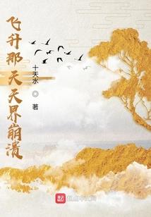 影子骑士