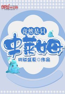 上神很倾城