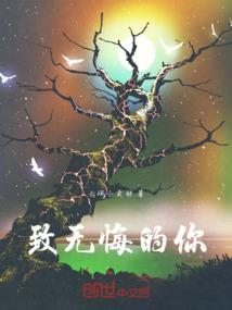 精灵与精灵的契约者