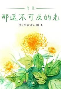 凤火焚苍穹