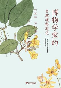 夺天帝，道天