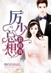 守护甜心之翊恋蝶