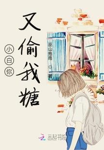 极品伪娘之杀手倾城