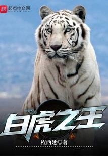 异界之系统无限