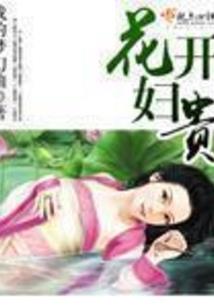 剑灵之轮回
