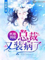 精灵宝可梦—小智编年史