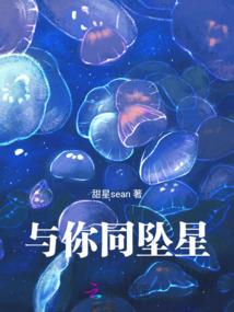 梦幻花镜穿越虚拟恋