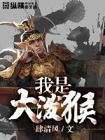 精灵：六式开局的训练家