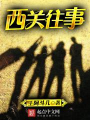篡朝记