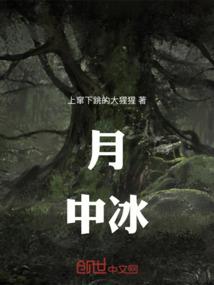 镜上影