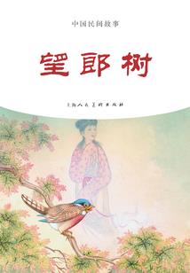 审夜：月之狸