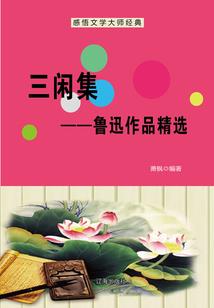 雾里不看花
