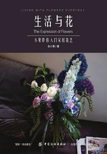 冷公主与酷王子的爱情之路