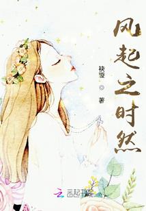 叶传宇流浪记