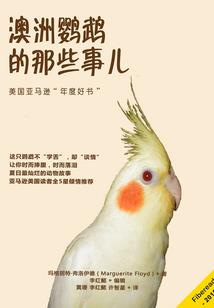 惊讶的目光