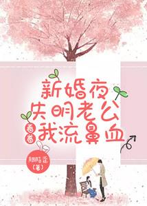 银色传说之了了传