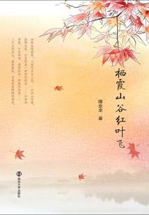闪烁娱乐之星
