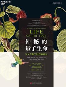 黎明之星辰大海