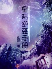 为奴一百天