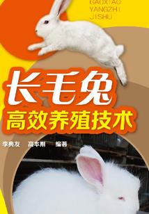 铸星传