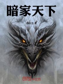 实习解说