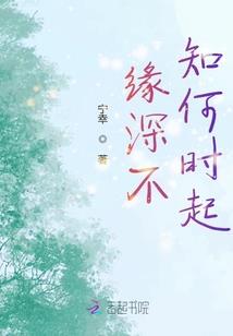 二次元轮回