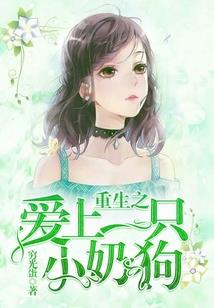 风之极