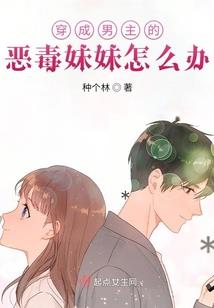青春恋爱传