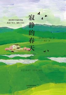 暮落压天记
