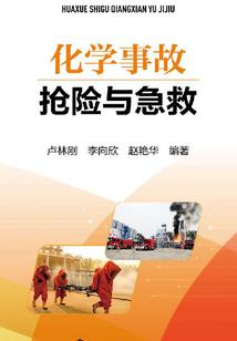 邪少恋上冷公主